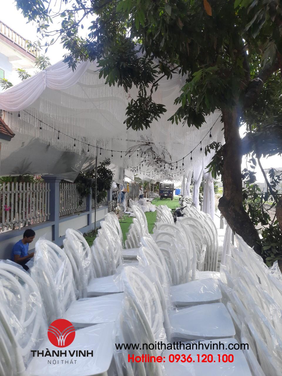 Ghế louis nhựa cho tiệc cưới ở Nam Định